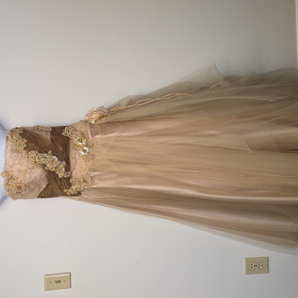 Elegant Cream and Gold Cassandra Stone Gown